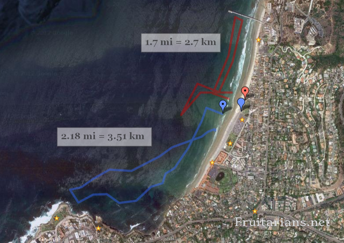 This two are in La Jolla Cove from La Jolla Shores (blue, 2.18 mi / 3.51 km and to the Scrips Pier (red, 1.7 mi / 2.7 km). I can watch surfers from the deep on the red one.