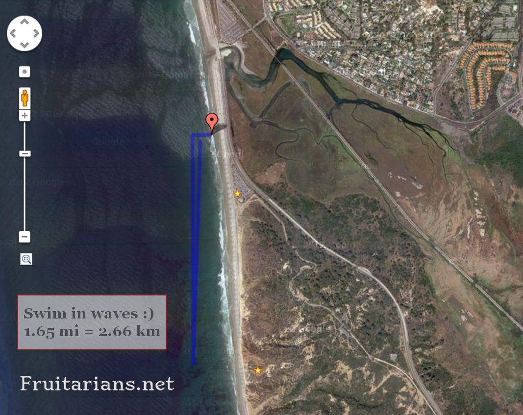 And this swim is from Torrey Pines Beach. First time I made ~ 1.65 mi / 2.66 km there. The swells were high all the time, it was a fun ride on waves.