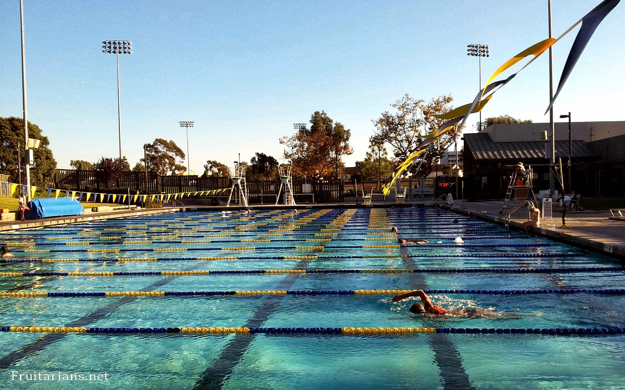 UCSD Pool